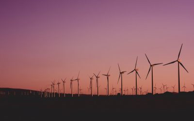 Our Commitment to CSR