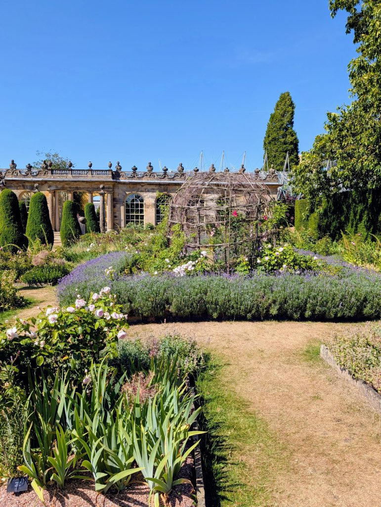 Several plants all together in the style of a secret garden