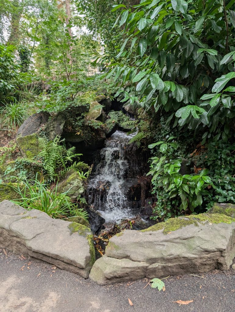 Waterfall in Endcliffe park
