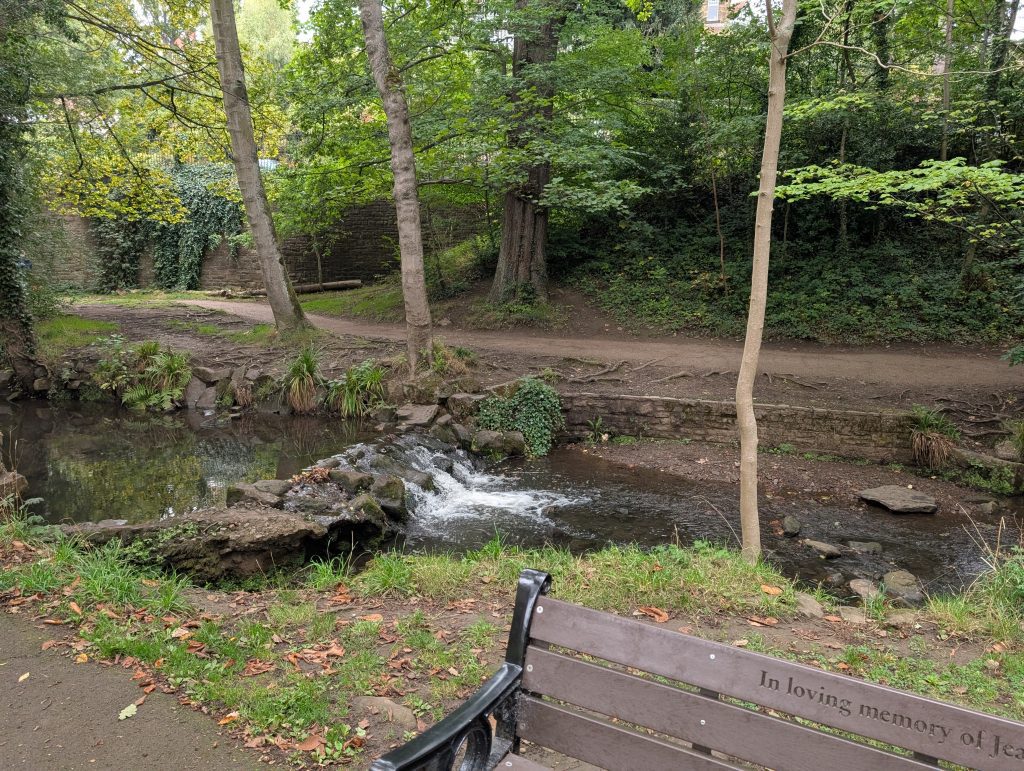 The brook in Endcliffe park