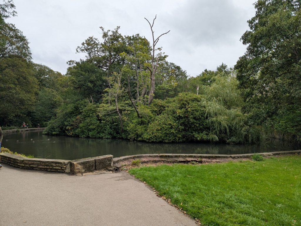 One of the pond in Endcliffe Park